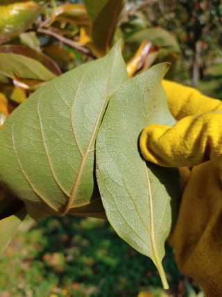 천승준님의 장터이야기 · 자유게시판 작성글 사진