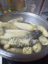 팜모닝 옥수수·자유게시판 게시글 이미지