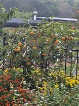 팜모닝 [팜춘문예] 짧은 시 쓰기·참여글 게시글 이미지