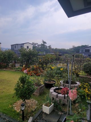 김재경님의 [팜춘문예] 짧은 시 쓰기 · 참여글 작성글 사진