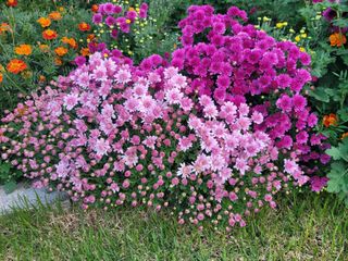 김재경님의 [팜춘문예] 짧은 시 쓰기 · 참여글 작성글 사진