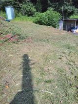 팜모닝 옥수수·영농일지 게시글 이미지