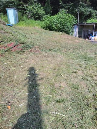 복숭아21611님의 옥수수 · 영농일지 작성글 사진