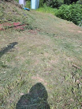 복숭아21611님의 옥수수 · 영농일지 작성글 사진