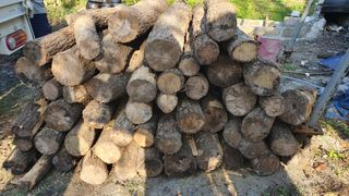 다음:농수산물공동구님의 작성글 사진