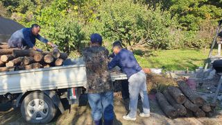 다음:농수산물공동구님의 작성글 사진