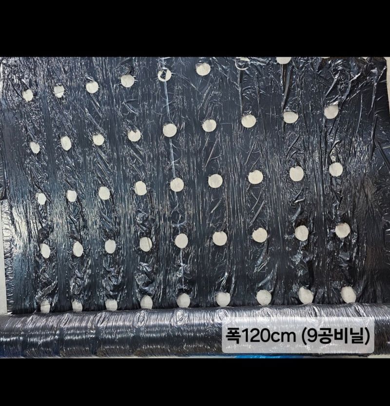 한농농약종묘사님의 장터 판매 상품 [마늘 유공비닐 9공,12공 ] 첨부 사진