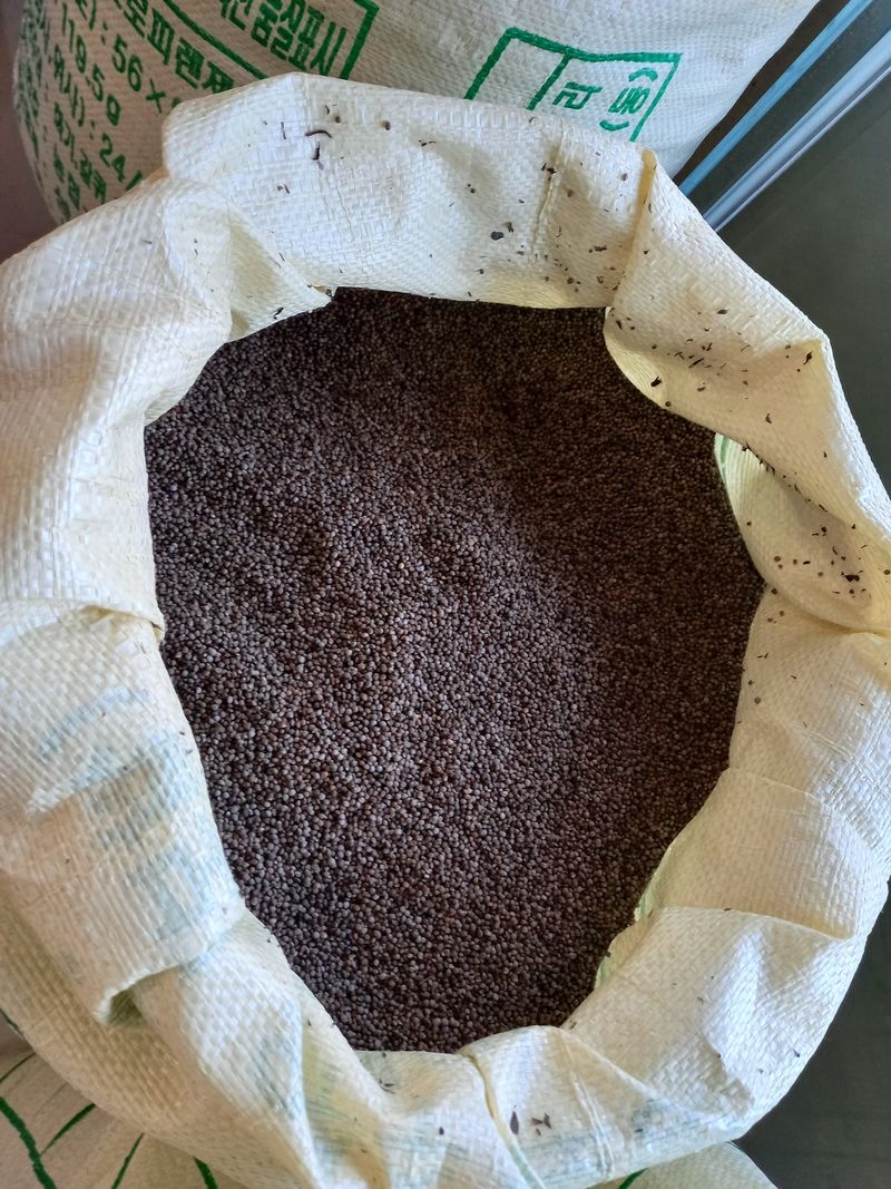 하남연님의 장터 판매 상품 [들깨 (2023년 토종 햇들깨) 5kg ] 첨부 사진