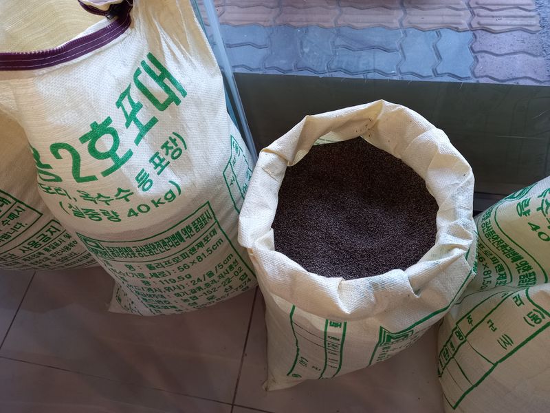 하남연님의 장터 판매 상품 [들깨 (2023년 토종 햇들깨) 5kg ] 첨부 사진