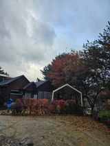 팜모닝 자유주제·자유게시판 게시글 이미지