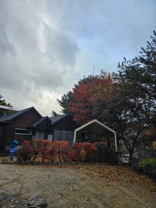 홍천산채농원 조원영님의 자유주제 · 자유게시판 작성글 사진