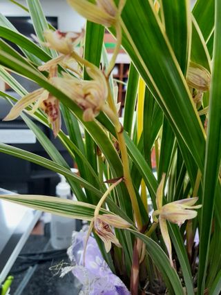 이미옥님의 [팜춘문예] 짧은 시 쓰기 · 참여글 작성글 사진