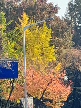 이미옥님의 [팜춘문예] 짧은 시 쓰기 · 참여글 작성글 사진