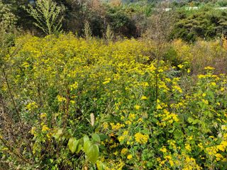 서성환님의 자유주제 · 자유게시판 작성글 사진