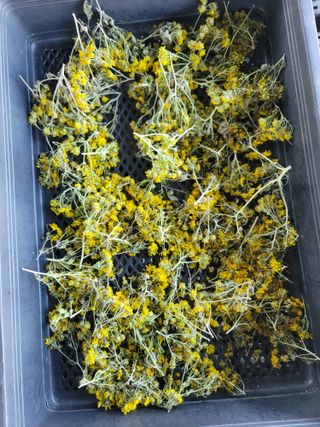 서성환님의 자유주제 · 자유게시판 작성글 사진