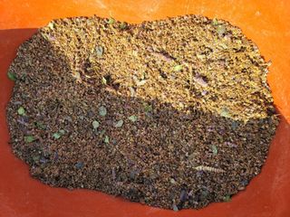 서성환님의 자유주제 · 자유게시판 작성글 사진