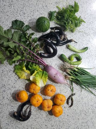 김나영 (천일염소금님의 자유주제 · 자유게시판 작성글 사진