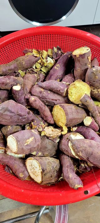 행복농장님의 [팜춘문예] 짧은 시 쓰기 · 참여글 작성글 사진