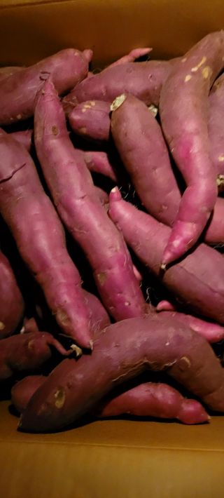 행복농장님의 [팜춘문예] 짧은 시 쓰기 · 참여글 작성글 사진