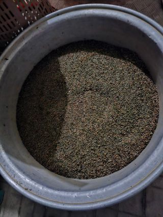 김영길님의 [팜춘문예] 짧은 시 쓰기 · 참여글 작성글 사진