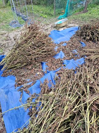 김영길님의 [팜춘문예] 짧은 시 쓰기 · 참여글 작성글 사진