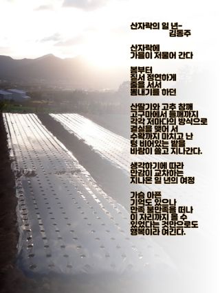 김동주님의 [팜춘문예] 짧은 시 쓰기 · 참여글 작성글 사진