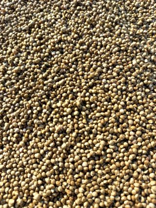 윤영숙님의 작성글 사진