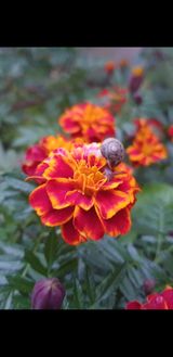 팜모닝 [팜춘문예] 짧은 시 쓰기·참여글 게시글 이미지