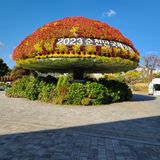 팜모닝 [팜춘문예] 짧은 시 쓰기·참여글 게시글 이미지