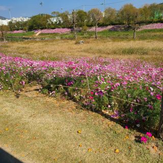 knlee2222님의 [팜춘문예] 짧은 시 쓰기 · 참여글 작성글 사진