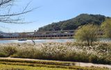 knlee님의 [팜춘문예] 짧은 시 쓰기·참여글 작성글 사진
