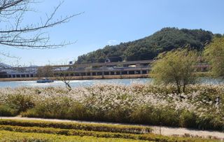 knlee2222님의 [팜춘문예] 짧은 시 쓰기 · 참여글 작성글 사진