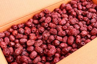 손윤영/수채화농원님의 작성글 사진