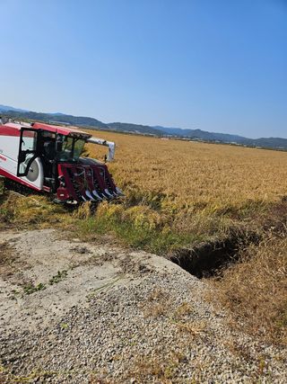 장송녀약초사랑농삿꾼님의 벼 · 영농일지 작성글 사진