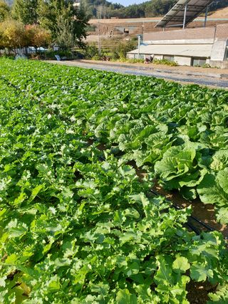 양파5749님의 자유주제 · 자유게시판 작성글 사진