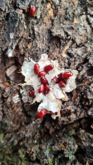 강신철님의 기타작물 · 자유게시판 작성글 사진