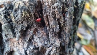 강신철님의 기타작물 · 자유게시판 작성글 사진