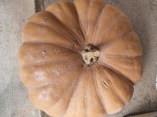 정석범님의 작성글 사진