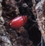 강신철님의 기타작물 · 자유게시판 작성글 사진