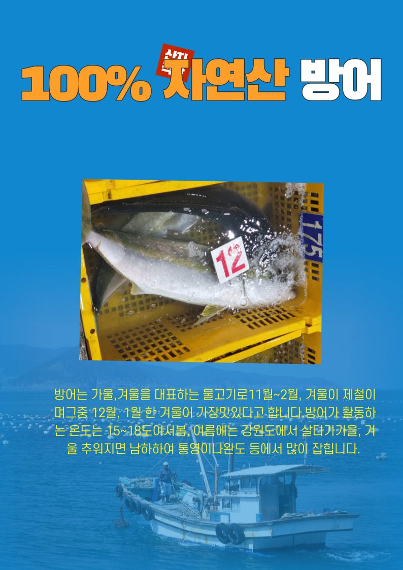 김진국님의 장터 판매 상품 [국내산 자연산 대방어회를 집에서(대방어, 중방어, 소방어) ] 첨부 사진