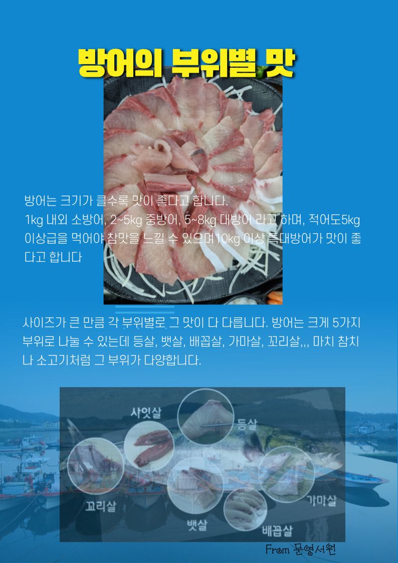 김진국님의 장터 판매 상품 [국내산 자연산 대방어회를 집에서(대방어, 중방어, 소방어) ] 첨부 사진