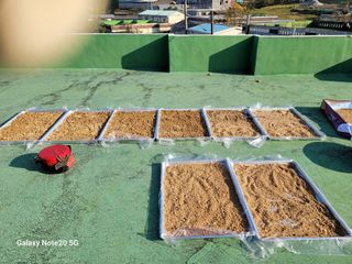 이윤미님의 자유주제 · 자유게시판 작성글 사진