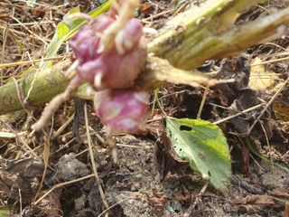 남 샘결 개둥맘님의 자유주제 · 자유게시판 작성글 사진