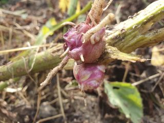 남 샘결 개둥맘님의 자유주제 · 자유게시판 작성글 사진