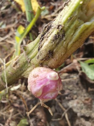 남 샘결 개둥맘님의 자유주제 · 자유게시판 작성글 사진