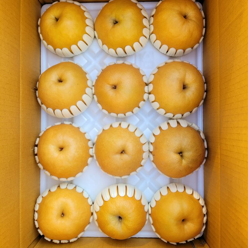 장터 상품 [함양 신고배7,5kg] 썸네일