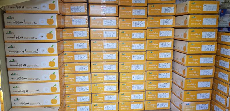 또상농장님의 장터 판매 상품 [함양 신고배7,5kg] 첨부 사진