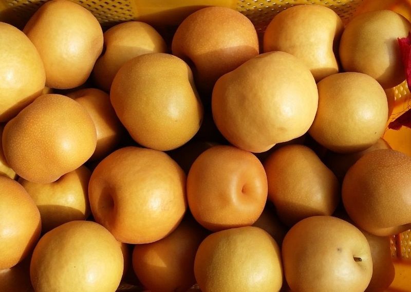 또상농장님의 장터 판매 상품 [함양 신고배7,5kg] 첨부 사진