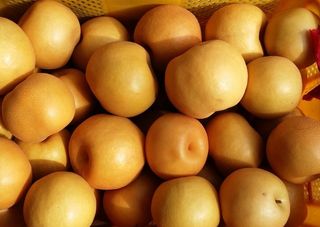 또상농장님의 작성글 사진