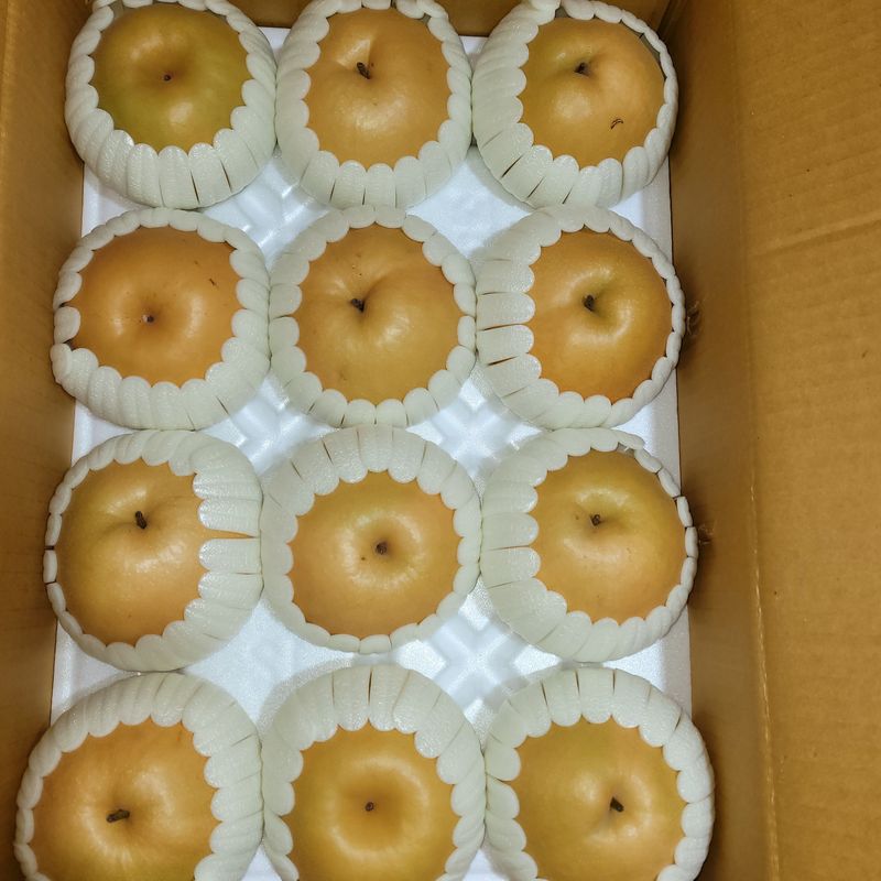 또상농장님의 장터 판매 상품 [함양 신고배7,5kg] 첨부 사진